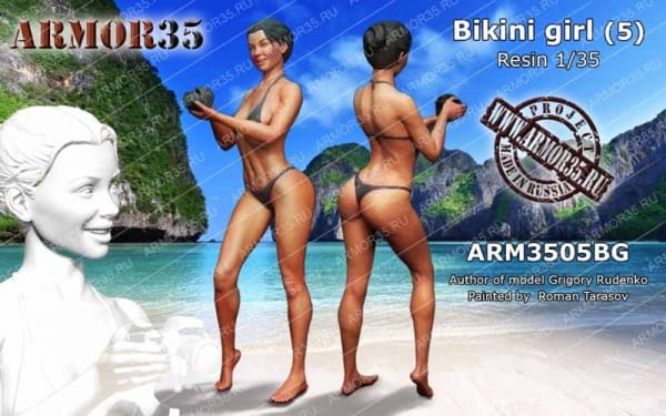 ARM3505BG