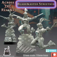 Blademaster Streetkid 
